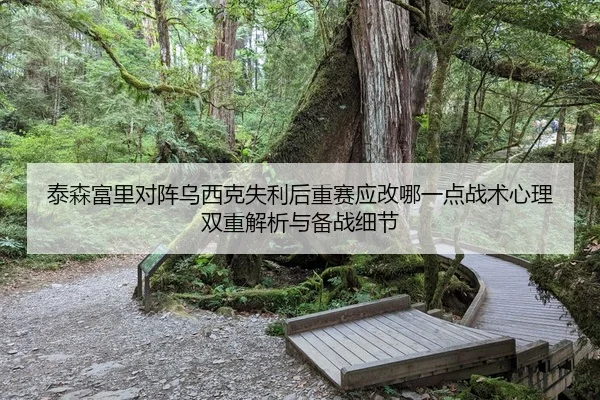 泰森富里对阵乌西克失利后重赛应改哪一点战术心理双重解析与备战细节